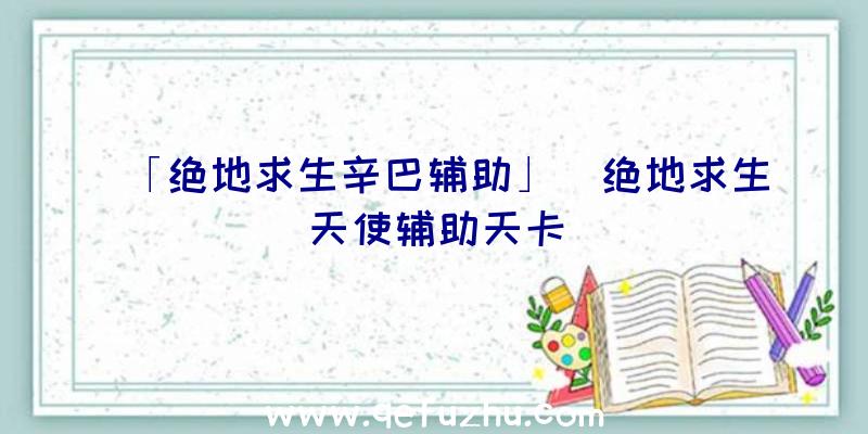 「绝地求生辛巴辅助」|绝地求生天使辅助天卡